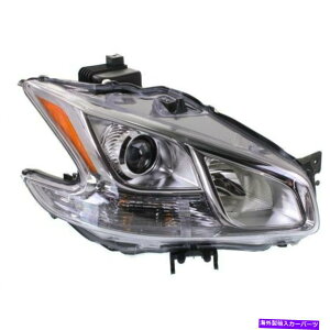 USwbhCg Y}LV}2009-2014̂߂̐VNI2503177CJ[p̏ȑwbhCg New NI2503177C CAPA Passenger Side Headlight for Nissan Maxima 2009-2014