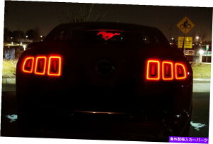 p[c }X^O11-14O[v[gfBXvCCgtANZT[plLEDCg Mustang 11-14 Interior Glow Plate Display Lighted Accessories Panel LED lights
