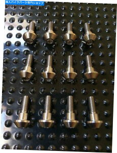 front brake rotor ���}�nR1�`�^���t�����g�f�B�X�N�{���g98-03 YZF R1 Ti���[�^�[�{���gR7 R6 Yamaha R1 Titanium Front Disc Bolts 98-03 YZF R1 Ti Rotor Bolts R7 R6�y���s�A���i�z