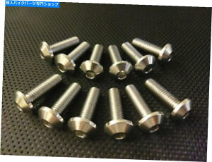 front brake rotor YAMAHA YZF750�`�^���t�����g�f�B�X�N�{���g93-98 Ti���[�^�[�{���gYZF 750R RF Yamaha YZF750 Titanium Front Disc Bolts 93-98 Ti Rotor Bolts YZF 750R RF�y���s�A���i�z