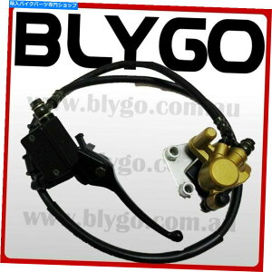 Brake Caliper S[htgfBXNu[LLp[VXepbh110 125ccsbgv_[goCN GOLD Hydraulic Front Disc Brake Caliper System Pads 110 125cc PIT PRO Dirt Bike