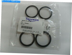 Brake CaliperBrake CaliperBrake CaliperBrake CaliperBrake CaliperBrake CaliperBrake CaliperBrake CaliperBrake CaliperBrake Caliper Triumph America Daytona Tiger ThunderbirdtgAu[LLp[V[Lbg TRIUMPH AMERICA DAYT