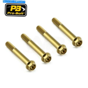 Brake CaliperBrake CaliperBrake CaliperBrake CaliperBrake CaliperBrake CaliperBrake CaliperBrake CaliperBrake CaliperBrake Caliper Suzuki GSX-R750 GSXR750 2006-2020p̃vogtgu[LLp[{gS[h Probolt Fr