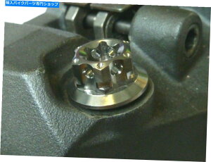 Brake Caliper XYLGSXR750 2006-2015cChCu`^tgu[LLp[{g[X Suzuki GSXR750 2006-2015 TWIN DRIVE TITANIUM FRONT BRAKE CALIPER BOLTS RACE