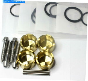 Brake Caliper YZF-R125�i2014�ȍ~�j�`�^���J���p�[�L�b�g +�`�^�����i�B MT 125 YZF-R125 (2014 onwards) TITANIUM caliper kit + TITANIUM parts. MT 125�y���s�A���i�z