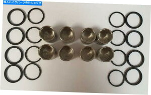 Brake Caliper z_CBR400 RRN RRP NC29 1992 1993tgu[LLp[sXgV[Zbg̏ꍇ FOR HONDA CBR400 RRN RRP NC29 1992 1993 FRONT BRAKE CALIPER PISTONS & SEALS SET