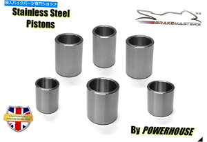 Brake Caliper z_ST1100 A A1Ntgu[LLp[XeXX`[sXgAbvO[h2001 Honda ST1100 A A1 LINK front brake caliper stainless steel piston upgrade 2001