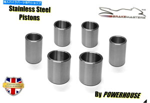 Brake Caliper z_ST1300p[bpA2tgu[LLp[XeXsXgAbvO[h2002 Honda ST1300 Pan European A2 front brake caliper stainless piston upgrade 2002