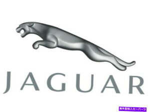 KX Jaguar OEM 04-06 X^CṽKXhAŒEBhEEC2S29608 JAGUAR OEM 04-06 X-Type Glass-Rear Door-Fixed Window Right C2S29608