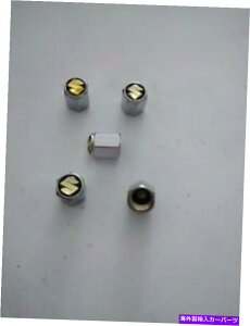 rear wheel tire cover XYLgbNԖDp5փ^CLbvGAouXeJo[̃Zbg Set of 5 Wheel Tire Caps Air Valve Stem Cover For SUZUKI Truck Car Free Ship