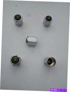 rear wheel tire cover {M[jgbNJ[p5փ^CLbvGAouXeJo[̃Zbg Set of 5 Wheel Tire Caps Air Valve Stem Cover For LAMBORGHINI Truck Car