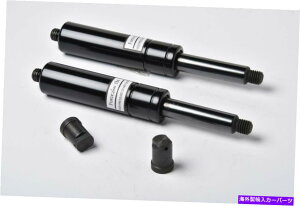 KEBO 600|h̃{hAVbÑyAF{gqW̃{M[jwubVO Pair of 600lbs lambo door shocks f bolt on vertical hinge lamborghini w Bushings