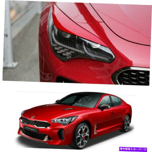 ACC Kia Stinger 2017?2021+̃tgwbhCgACC[ Front head lights Eye line Molding UNPAINTED 2pcs For Kia Stinger 2017~2021+