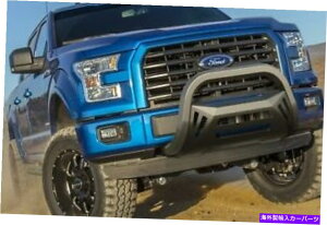 Bull Bar ��΃`���[�u600001�I�N�^�V���[�Y�u���o�[�t�B�b�g04-21 F-150 F-150��Y GEM Tube 600001 OCTA Series Bull Bar Fits 04-21 F-150 F-150 Heritage�y���s�A���i�z