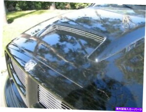 �t�[�h�x���g�g���� 2003 Dodge Ram 2500 T-Rex�t�[�h�X�N�[�v�O�����C���T�[�gDJTM For 2003 Dodge Ram 2500 T-Rex Hood Scoop Grille Insert DJTM�y���s�A���i�z