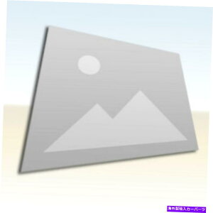 �t�[�h�x���g�g���� ModelOdRive FRP DMA�ۂ��t�[�h�X�N�[�v���j�o�[�T�� - ModeloDrive FRP DMA Rounded Hood Scoop Universal For -�y���s�A���i�z