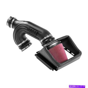 USGACe[N Ci[_Ng 2015-2017 FORD F-150ptH[}XGACe[Nt[}X^[f^tH[X615136 2015-2017 Ford F-150 Performance Air Intake Flowmaster Delta Force 615136