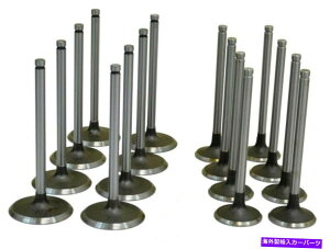 GWJo[ YqX^[CF[tH[NtgSD22 SD33ouCe[NGL][XgZbg/8ɓK Fits Nissan Hyster Yale forklift SD22 SD33 valves intake exhaust set/8