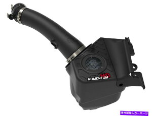 USGACe[N Ci[_Ng ^HDv10RCzCVXeAFEtB^[CzCƃR|[lg Momentum HD Pro 10R Air Intake System AFE Filters Air Intakes and Components