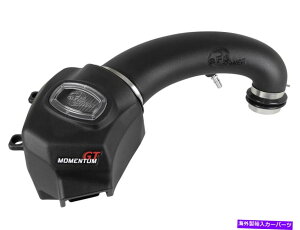US�G�A�C���e�[�N �C���i�[�_�N�g AFE�t�B���^�[50-70013D�������^��GT Pro Dry S Air Intake System��19-21 1500�ɓK�����܂� AFE Filters 50-70013D Momentum GT Pro Dry S Air Intake System Fits 19-21 1500�y���s�A���i�z