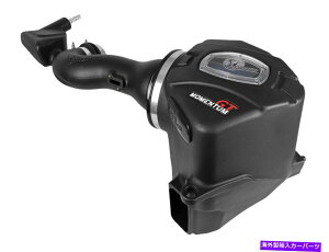 US�G�A�C���e�[�N �C���i�[�_�N�g AFE�t�B���^�[50-70044R�������^��GT Pro 5R��C�z�C�V�X�e�� AFE Filters 50-70044R Momentum GT Pro 5R Air Intake System�y���s�A���i�z