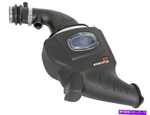 USGACe[N Ci[_Ng AFEtB^[54-76106 Momentum GT Pro 5RCzCVXe AFE Filters 54-76106 Momentum GT Pro 5R Air Intake System