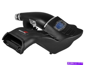 USGACe[N Ci[_Ng AFEtB^[54-73112-1^GT Pro 5RCzCVXe15-21 F-150ɓK܂ AFE Filters 54-73112-1 Momentum GT Pro 5R Air Intake System Fits 15-21 F-150