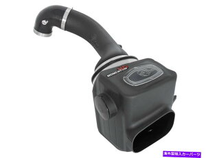 USGACe[N Ci[_Ng AFEtB^[50-76105^HD Pro 10rCzCVXe16-19 Titan XDɓK܂ AFE Filters 50-76105 Momentum HD Pro 10R Air Intake System Fits 16-19 Titan XD