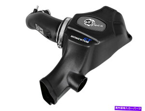USGACe[N Ci[_Ng AFEtB^[50-40008D Momentum St Pro Dry S Air IntakeVXe15-17}X^OɓK AFE Filters 50-40008D Momentum ST Pro DRY S Air Intake System Fits 15-17 Mustang