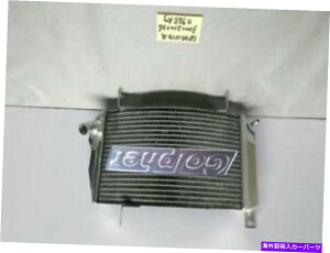 Radiator �h�D�J�e�B�X�g���[�g�t�@�C�^�[S 848 1098�A�b�p�[�p�t�H�[�}���X���[�V���O���W�G�[�^�[ DUCATI STREETFIGHTER S 848 1098 UPPER PERFORMANCE RACING RADIATOR