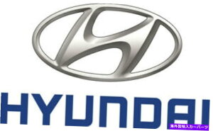 Radiator q_COEM 20-21 Palisade Cooling Radiator Radiator Components-Radiator Assy 25310S8700 HYUNDAI OEM 20-21 Palisade Cooling Radiator Components-Radiator Assy 25310S8700