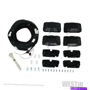 Nerf Bar Westin 28-51003 R5 NERF�X�e�b�v�o�[LED���C�g�L�b�g Westin 28-51003 R5 Nerf Step Bar LED Light Kit�y���s�A���i�z