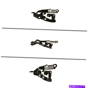 hinge �V����LX1236105 LEXUS ES350 2007-2012�p�̏���ȑ��t�[�h�q���W New LX1236105 Passenger Side Hood Hinge for Lexus ES350 2007-2012�y���s�A���i�z