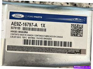 hinge Lincoln Ford OEM 10-18 MKT Hood-HingeAE9Z16797A Lincoln FORD OEM 10-18 MKT Hood-Hinge Left AE9Z16797A