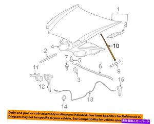 supports shock �r���C�b�NGM OEM 05-07���N���X�t�[�h���t�g�T�|�[�g�X�g���b�g�V���b�N�v���b�v�A�[��10336391 Buick GM OEM 05-07 LaCrosse Hood-Lift Support Strut Shock Prop Arm 10336391�y���s�A���i�z
