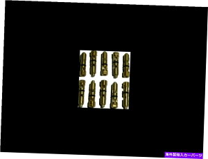 Carburetor {Holley QFT AED CCS 6-504-10-i10pbNjHolley .110jƃV[g Genuine Holley QFT AED CCS 6-504-10 - (10 Pack) Holley .110 Needle & Seat