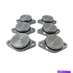 Intake Manifold BMWfB[[GW33mmi6pcsj̉QuNtbv̏C폜폜 Swirl Blanks Flaps Repair Delete for BMW Diesel Engines 33mm (6pcs)