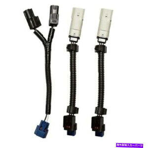 Intake Manifold LFP�v���O���v���CCMCV�n�[�l�X2018 GT�C���e�[�N�}�j�z�[���h15-17 GT�}�X�^���OINA015 LFP PLUG & PLAY CMCV HARNESSES 2018 GT INTAKE MANIFOLD 15-17 GT MUSTANG INA015�y���s�A���i�z