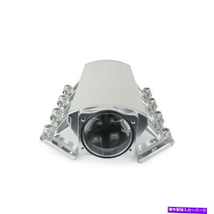 Intake Manifold A~jE102mmێ吹|[g[vt@CLS1 LS2 LS6 Clear Annodized Aluminum 102mm Intake Cathedral Port Low Profile LS1 LS2 LS6 Clear Annodized