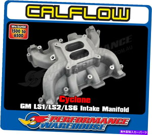Intake Manifold Cyclone GM LS1/LS2/LS6fAv[zC}jz[hA吹`Aʂ CYCLONE GM LS1/LS2/LS6 DUAL-PLANE INTAKE MANIFOLD, CATHEDRAL PORT, STREET