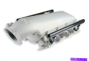 Intake Manifold Holley 300-620 LO-RAM EFI INTAKE MANIFOLD CATHEDRAL PORT LS1 LS2 LS6 4.8 5.3 6.0 Holley 300-620 Lo-Ram EFI Intake Manifold Cathedral Port LS1 LS2 LS6 4.8 5.3 6.0