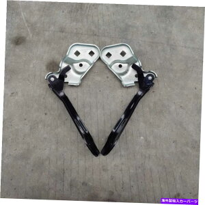 HOOD HINGES 2017-2020eXf3tgt[hqW +EyA1098792-00 1098793-00 2017-2020 Tesla Model 3 Front Hood Hinge Left + Right PAIR 1098792-00 1098793-00