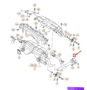 exhaust manifold �V����OEM�A�E�f�BR8 42�E�r�C�e�[���p�C�v�`�b�v420251238�{�� NEW OEM AUDI R8 42 RIGHT EXHAUST TAIL PIPE TIP 420251238 GENUINE�y���s�A���i�z