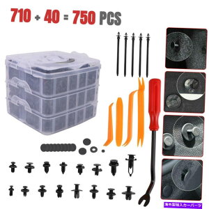 trim panel 750 PCSカーボディプラスチックプッシュピンリベットファスナートリムパネルモールディングオートクリップ 750 Pcs Car Body Plastic Push Pin Rivet Fasteners Trim Panel Moulding Auto Clips