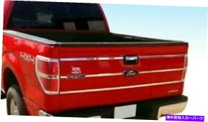 trim panel tBbg2014 Ford F150sbNAbve[Q[gCT[g[fBOg1 "6pcXeX Fits 09-2014 Ford F150 Pickup Tailgate Insert Molding Trim 1" Wide 6PC Stainless