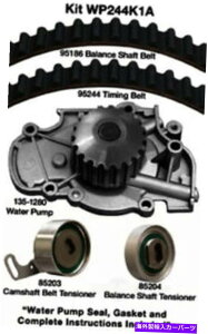 Water Pump EH[^[|v - |vLbgtGW^C~OxgLbgV[tDayco WP244K1A Engine Timing Belt Kit with Water Pump-Water Pump Kit W/o Seals Dayco WP244K1A