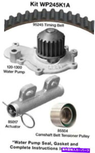 Water Pump �E�H�[�^�[�|���v�t���G���W���^�C�~���O�x���g�L�b�g-SOHC DAYCO WP245K1A Engine Timing Belt Kit with Water Pump-SOHC Dayco WP245K1A�y���s�A���i�z