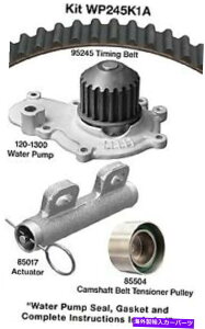 Water Pump �l�I���A�V���X�A�X�g���^�X+���̑���WP245K1A�p�̃E�H�[�^�[�|���v�t���G���W���^�C�~���O�x���g�L�b�g Engine Timing Belt Kit with Water Pump for Neon, Cirrus, Stratus+More WP245K1A�y���s�A���i�z