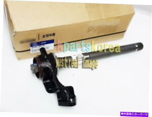 Wheel Hub Bearing Hyundai Santafe2006-2010p̖{̃xAOuPbgVtgAZu495602B250 GENUINE BEARING BRACKET & SHAFT ASSY 495602B250 FOR HYUNDAI SANTAFE2006-2010