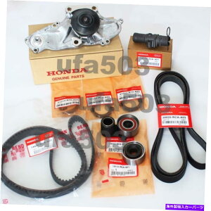 Water Pump �z���_�A�R�[�h�I�f�b�Z�C�A�L����MDX TL V6�p�̐V����OEM�^�C�~���O�x���g�E�H�[�^�[�|���v�L�b�g New OEM Timing Belt Water Pump Kit for Honda Accord Odyssey Acura MDX TL V6�y���s�A���i�z